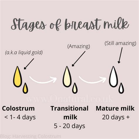 colostrum leaking|Leaking Milk During Pregnancy: When and Why It Happens